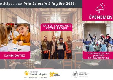 Prix lamap 2026